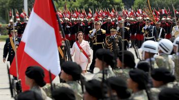 Warga Peru Geram Setelah Pemerintah Umumkan Kenaikan Gaji Presiden Boluarte